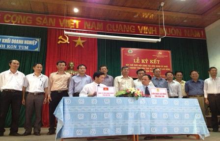 AnhMinhHoa