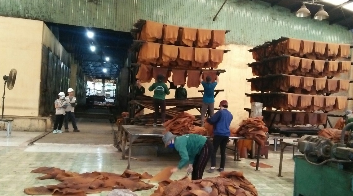 Liên đoàn Lao động tỉnh phối hợp xây dựng dữ liệu An toàn và vệ sinh lao động